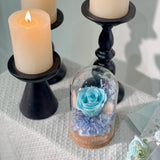 Blue Serenade • 静诱