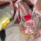 Scarlet Resolve • 赤定