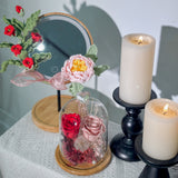 Scarlet Resolve • 赤定