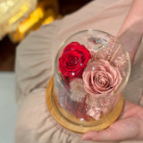 Scarlet Resolve • 赤定