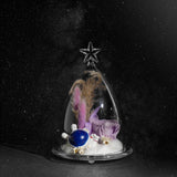 Stardust